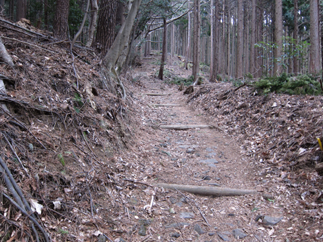 20190214hike (195)